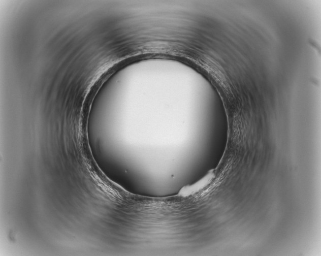 X0000098080880200804181156