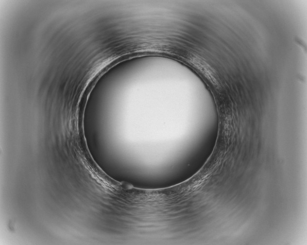 X0000098080884200804181156