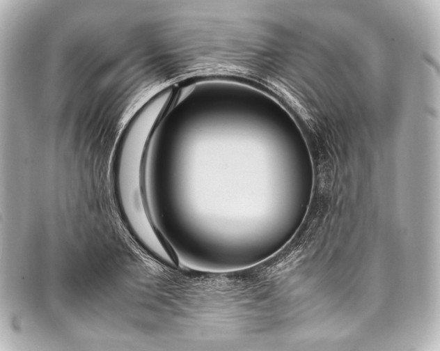 X0000098080885200804181156