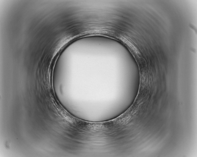 X0000098080886200804181156