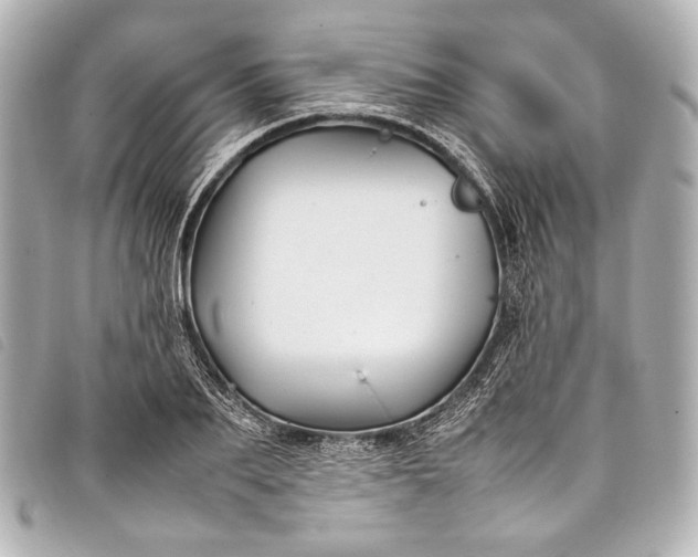 X0000098080887200804181156