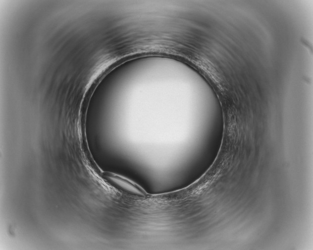 X0000098080888200804181156