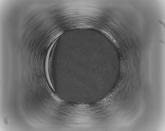 X0000098080889200804181156