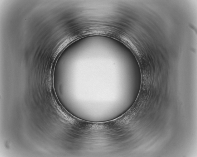 X0000098080890200804181156