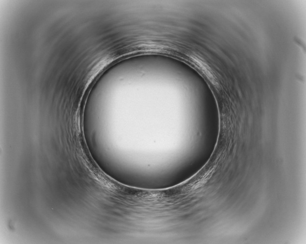 X0000098080891200804181156