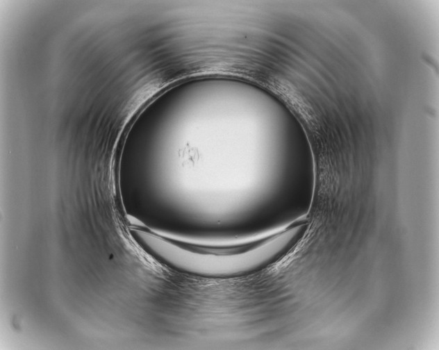 X0000098080892200804181156