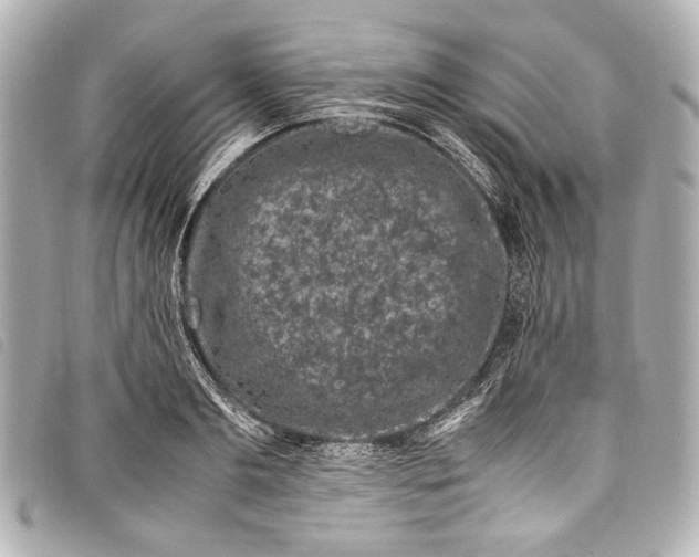 X0000098080893200804181156