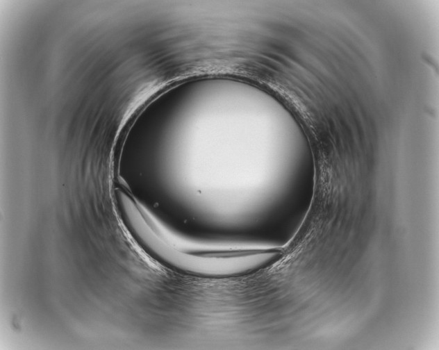 X0000098080894200804181156