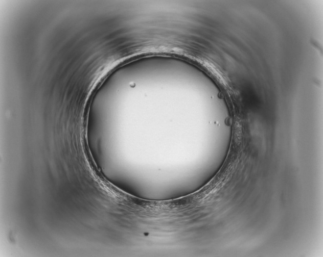 X0000098080895200804181156