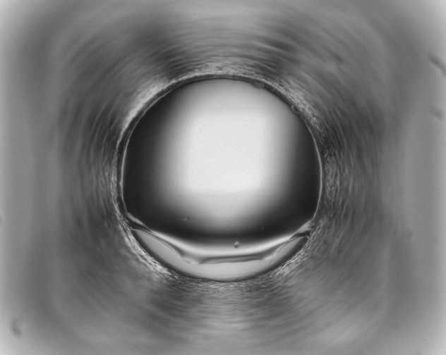 X0000098080896200804181156