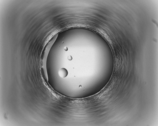 X0000098080898200804181156