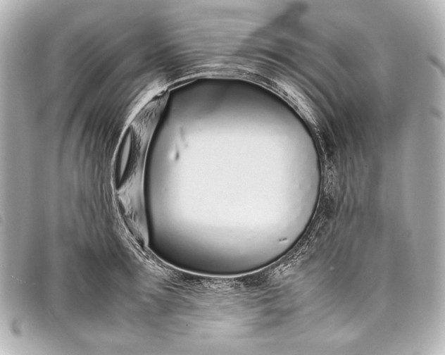 X0000098080899200804181156