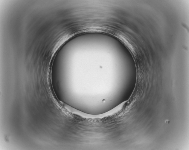 X0000098080901200804181156