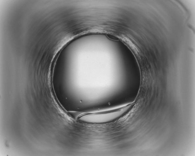 X0000098080902200804181156