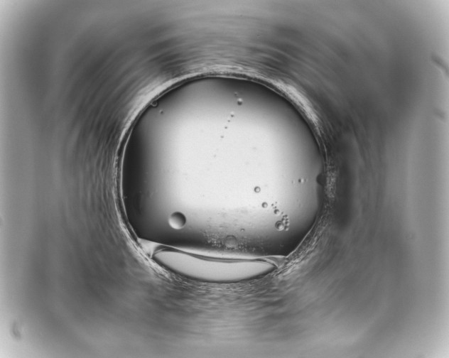 X0000098080903200804181156