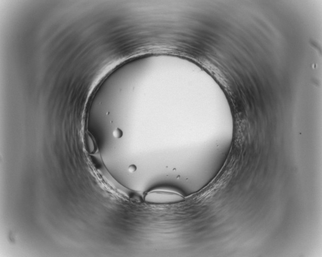 X0000098080904200804181156