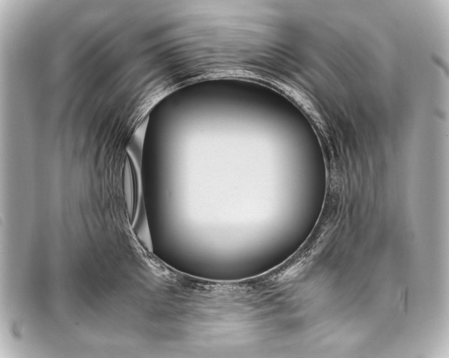 X0000098080905200804181155