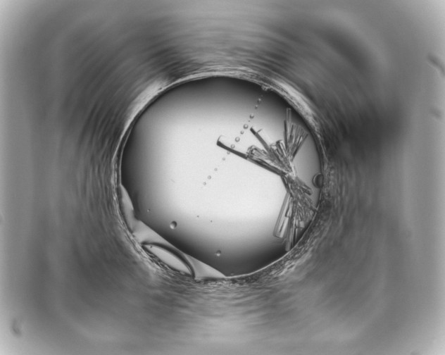 X0000098080907200804181155