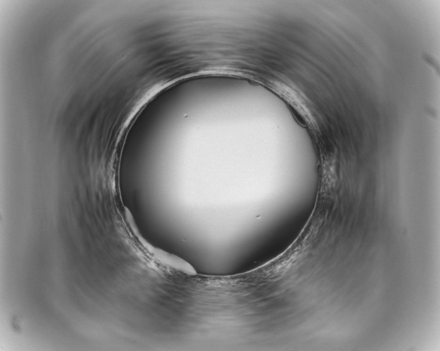 X0000098080908200804181155