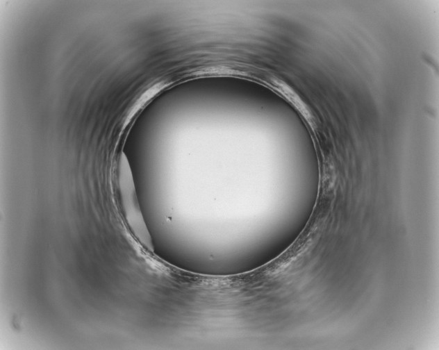 X0000098080909200804181155