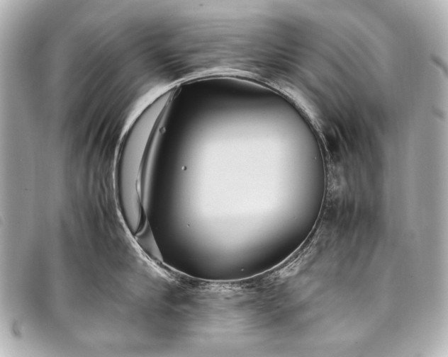 X0000098080910200804181155