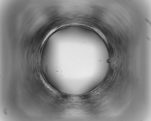 X0000098080911200804181155