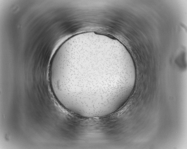 X0000098080912200804181155