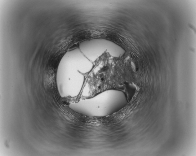 X0000098080914200804181155