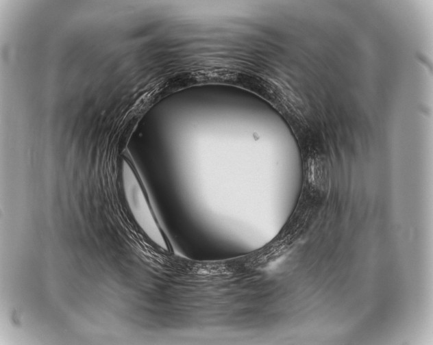 X0000098080915200804181155