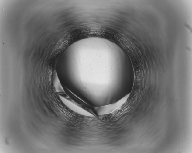 X0000098080916200804181155