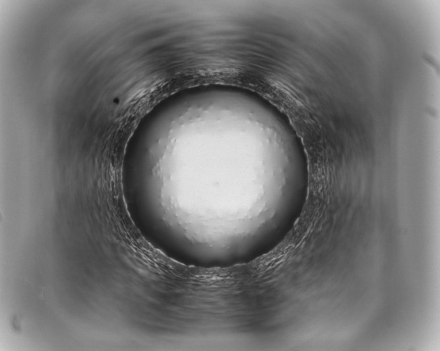 X0000098080917200804181155