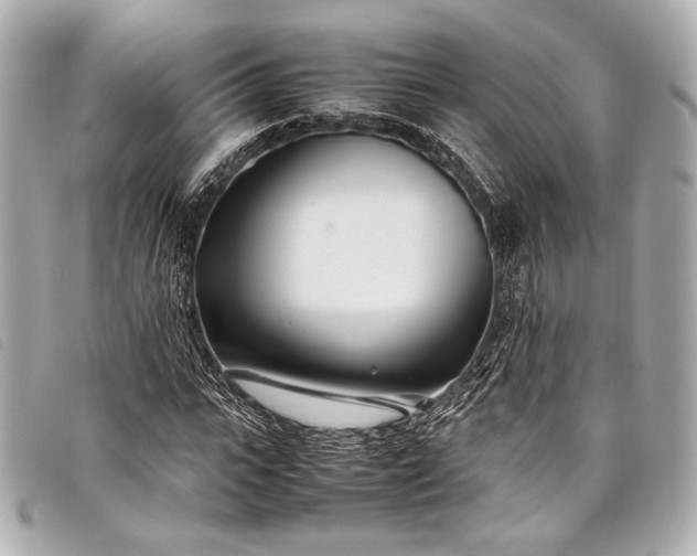 X0000098080919200804181155