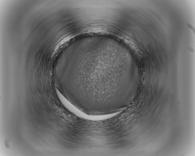 X0000098080920200804181155