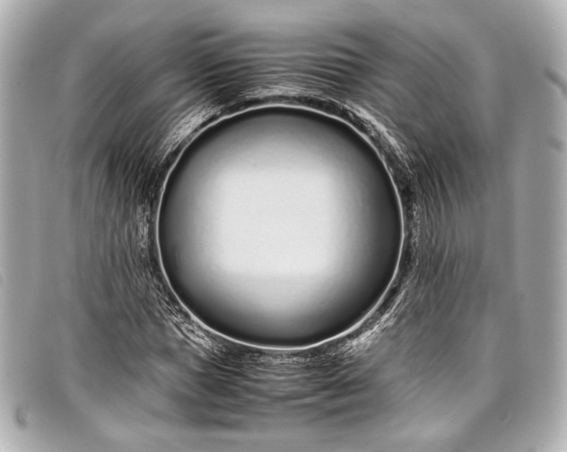 X0000098080921200804181155