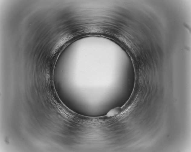 X0000098080922200804181155