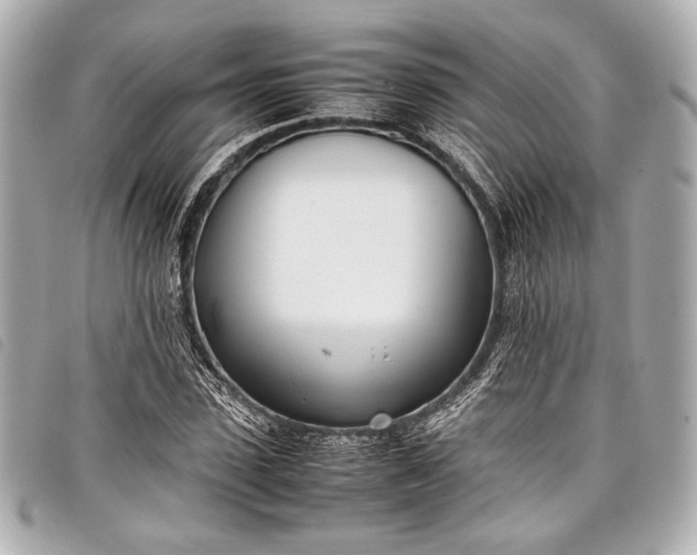 X0000098080923200804181155