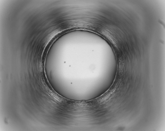 X0000098080924200804181155