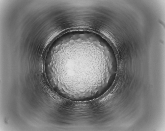 X0000098080925200804181155