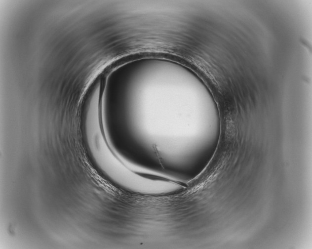 X0000098080926200804181155