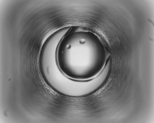 X0000098080928200804181155