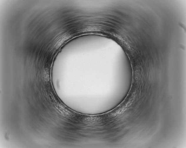 X0000098080929200804181155