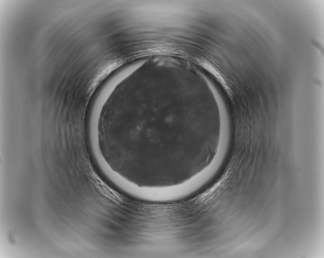 X0000098080930200804181155