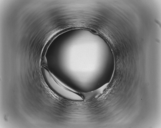 X0000098080932200804181155