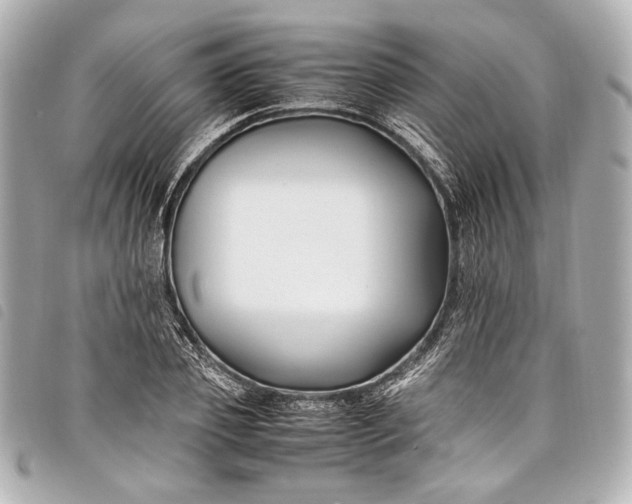 X0000098080933200804181155