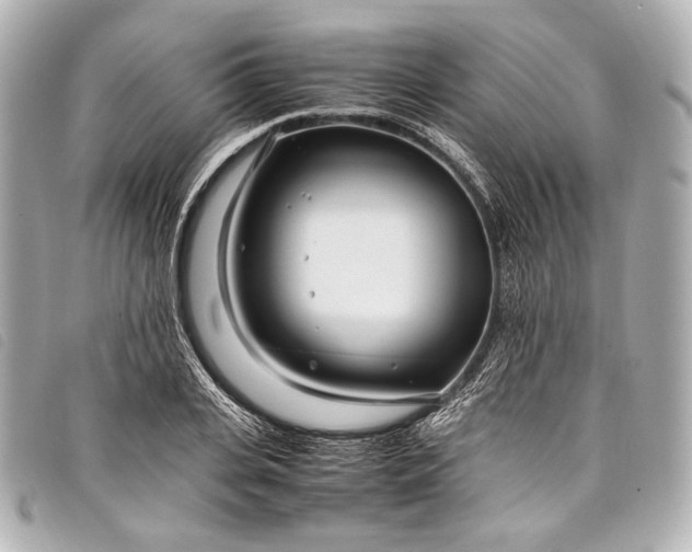 X0000098080935200804181155