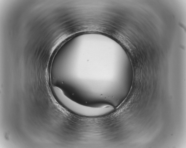 X0000098080936200804181155