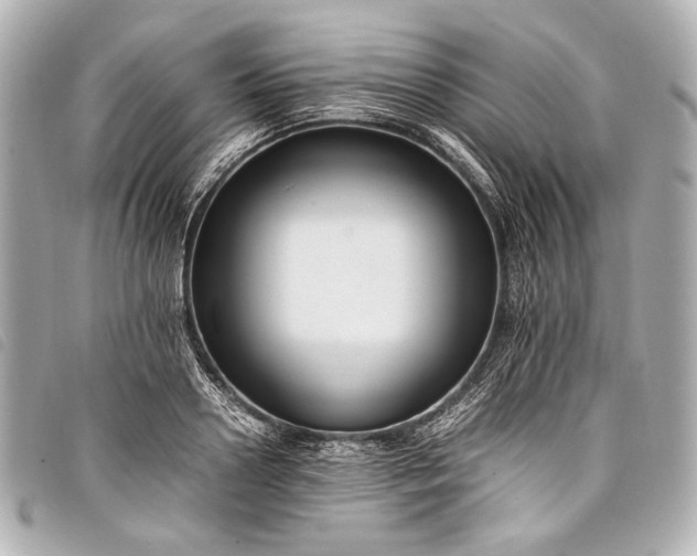 X0000098080938200804181155