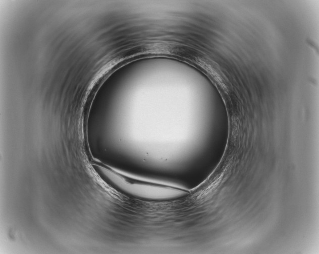 X0000098080939200804181155