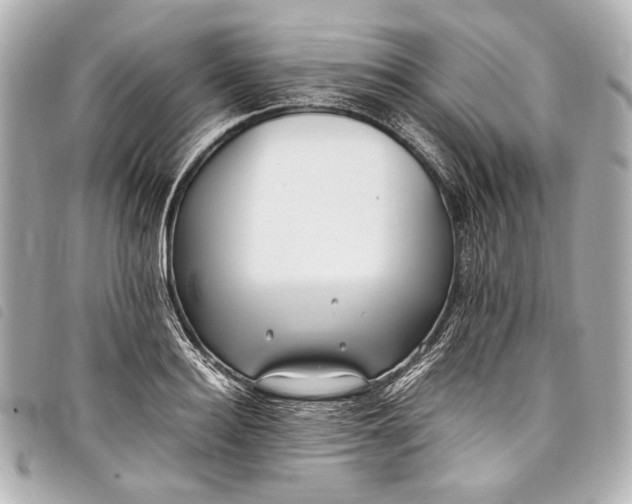 X0000098080940200804181155