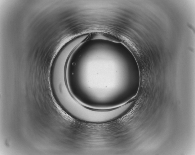 X0000098080942200804181155